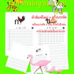 คัดไทย